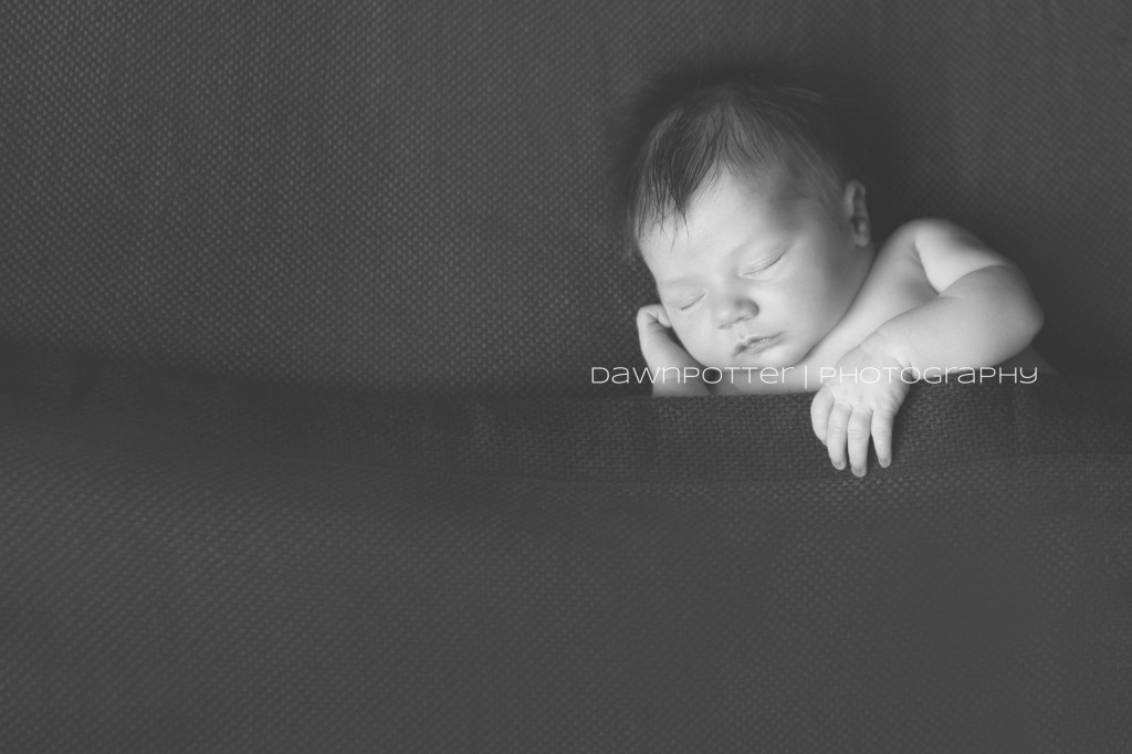 tiny baby girl | Maple Valley newborn-baby-maternity photographer