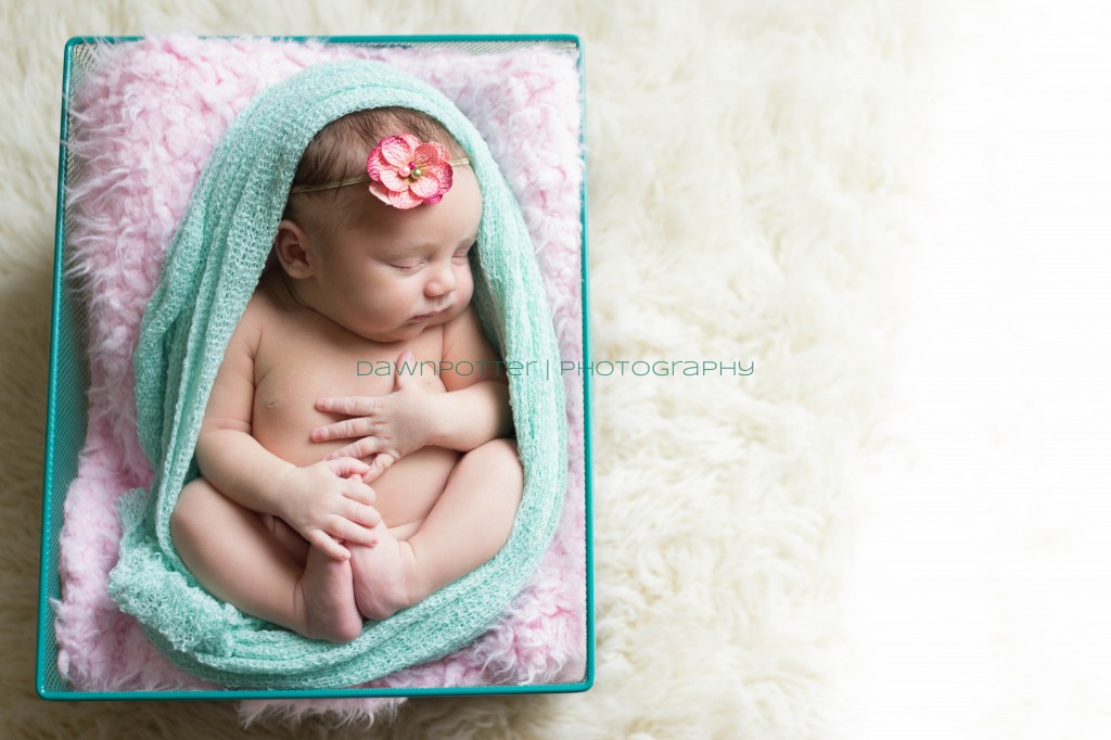 darling little girl | Maple Valley newborn-baby-maternity photographer