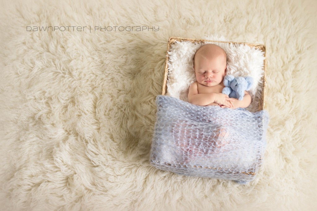 Lochlan | Maple Valley Newborn Photographer -4