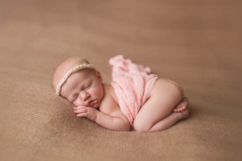 Seattle newborn photographer | newborn baby girl