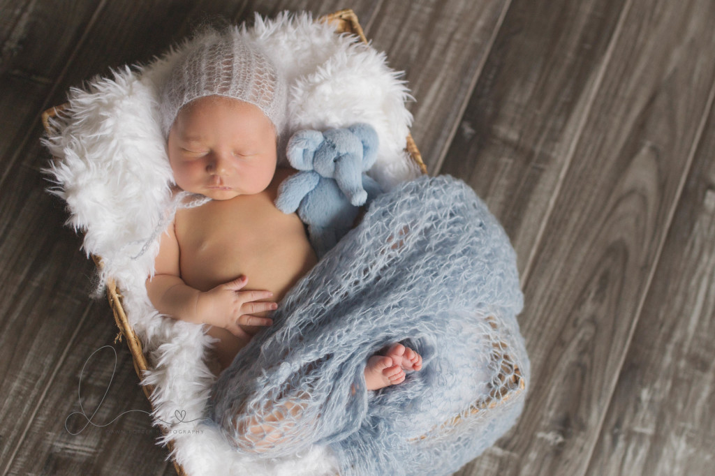 baby boy in basket | baby boy | Seattle newborn-baby photographer
