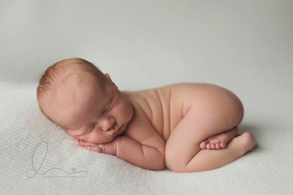 tushy pose | baby boy | Seattle newborn-baby photographer