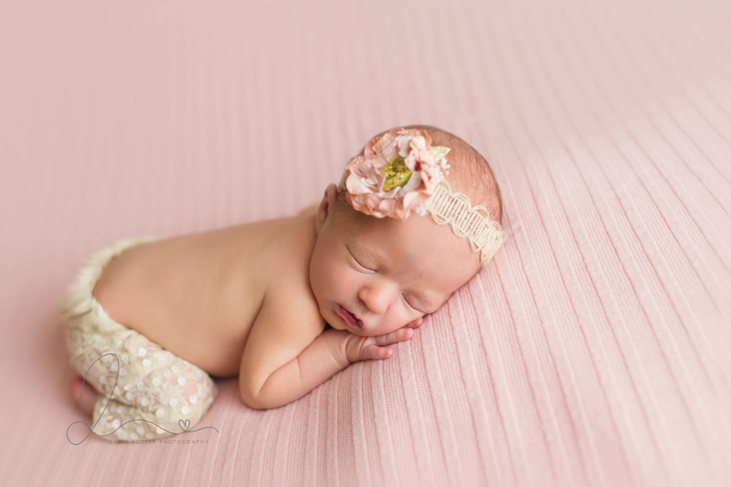 simple pose | Issaquah-Hobart newborn baby photographer | Seattle newborn baby photographer