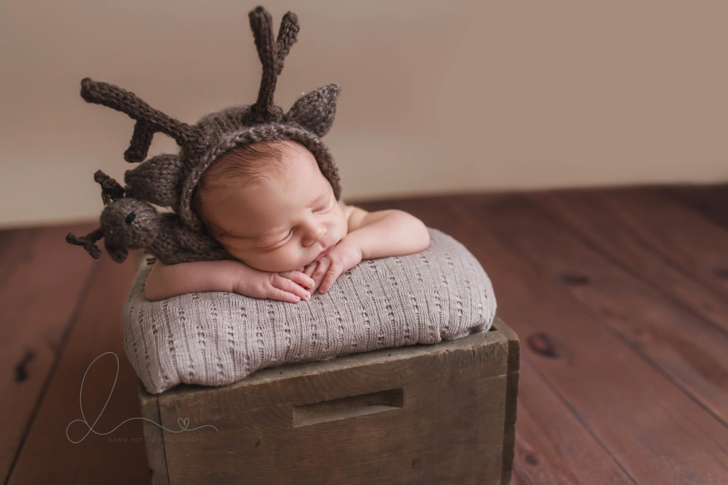 newborn baby boy in crate | reindeer bonnet | issaquah baby photographer