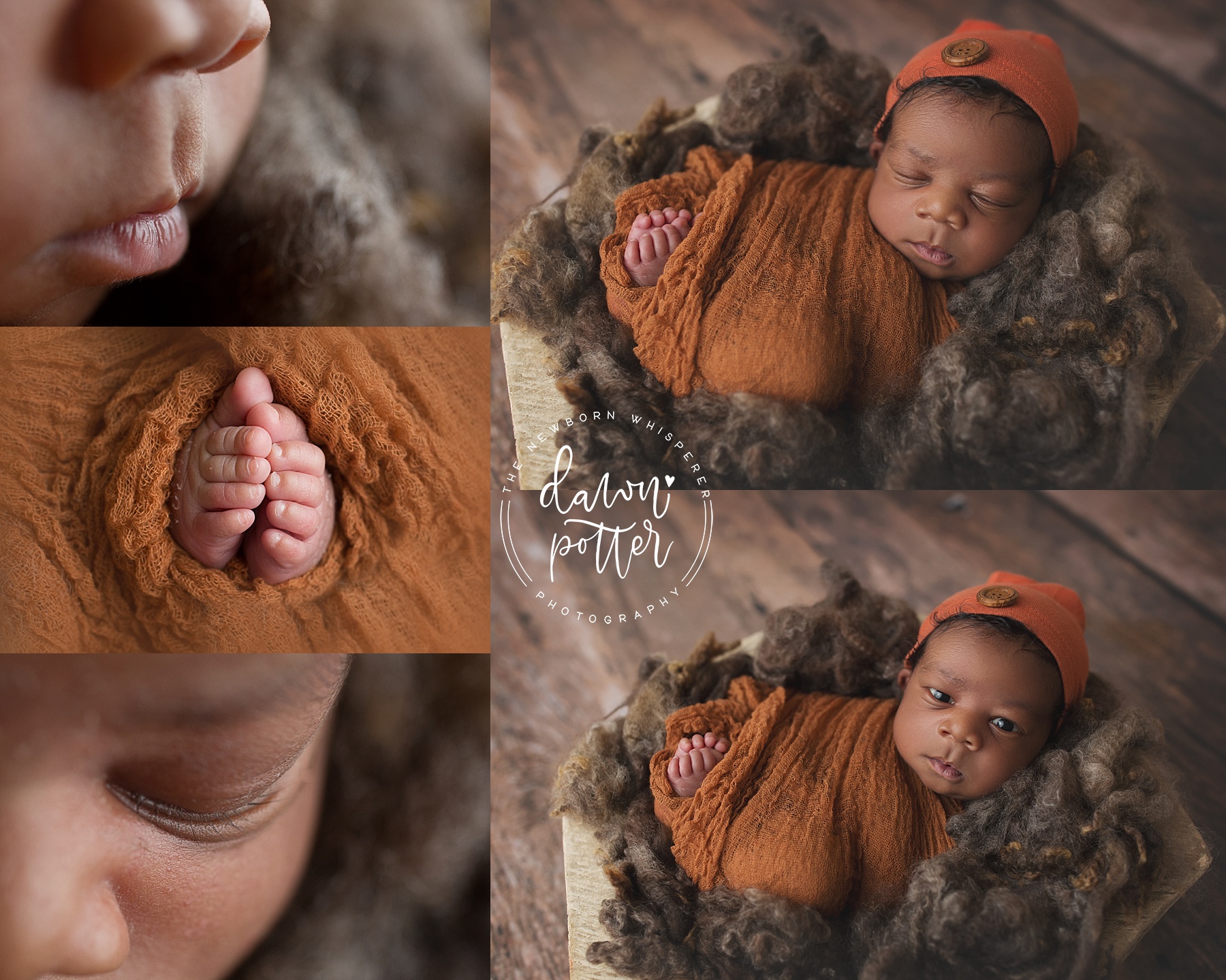 2017-06-05_0010.jpg newborn baby boy wide awake | newborn baby boy macro photography | | seattle newborn photographer | the newborn whisperer