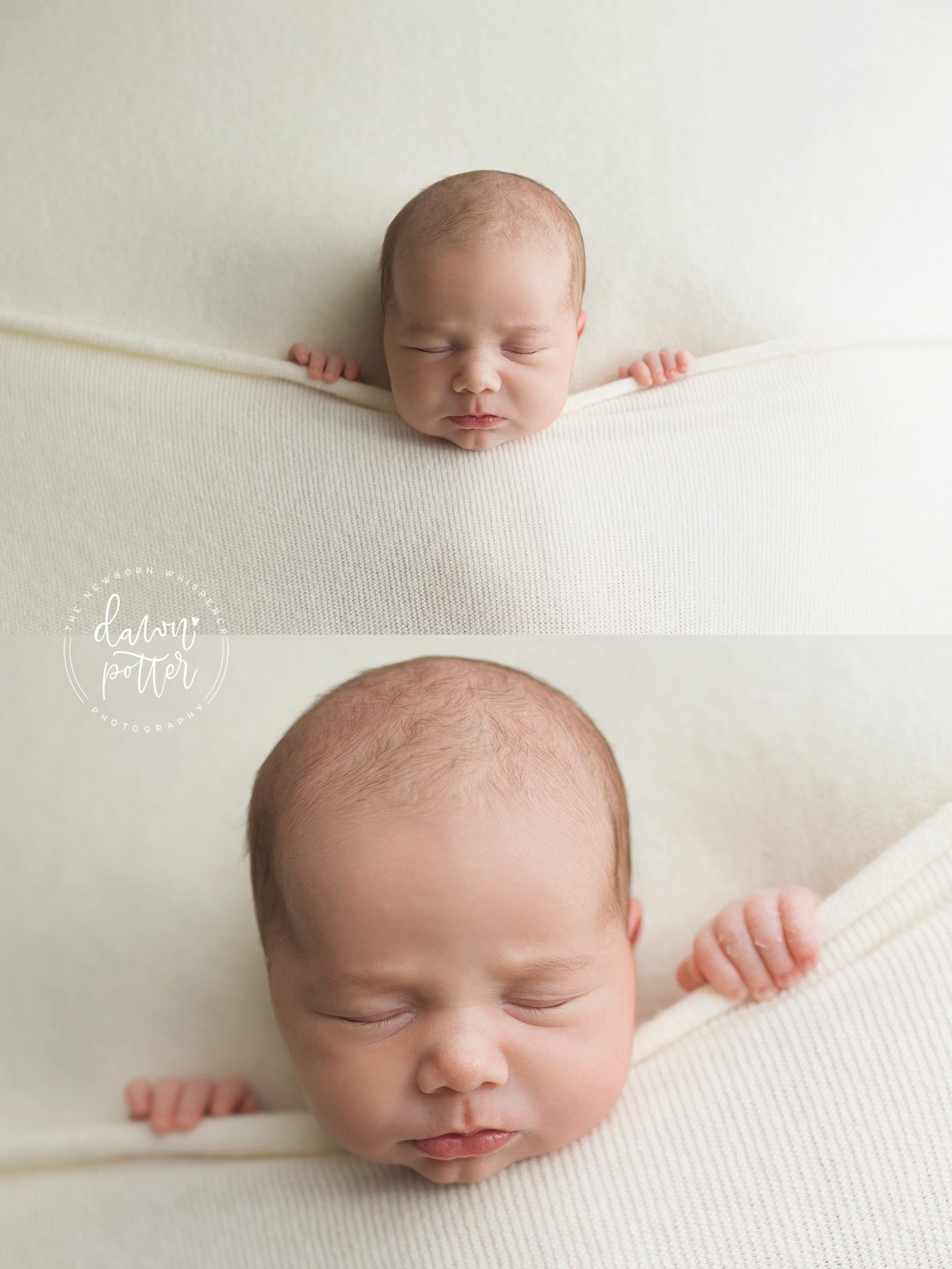 tucked in pose | Bellevue newborn photography session | studio newborn session | seattle newborn photographer | the newborn whisperer | issaquah newborn photographer Bellevue newborn photography session | studio newborn session | seattle newborn photographer | the newborn whisperer | issaquah newborn photographer
