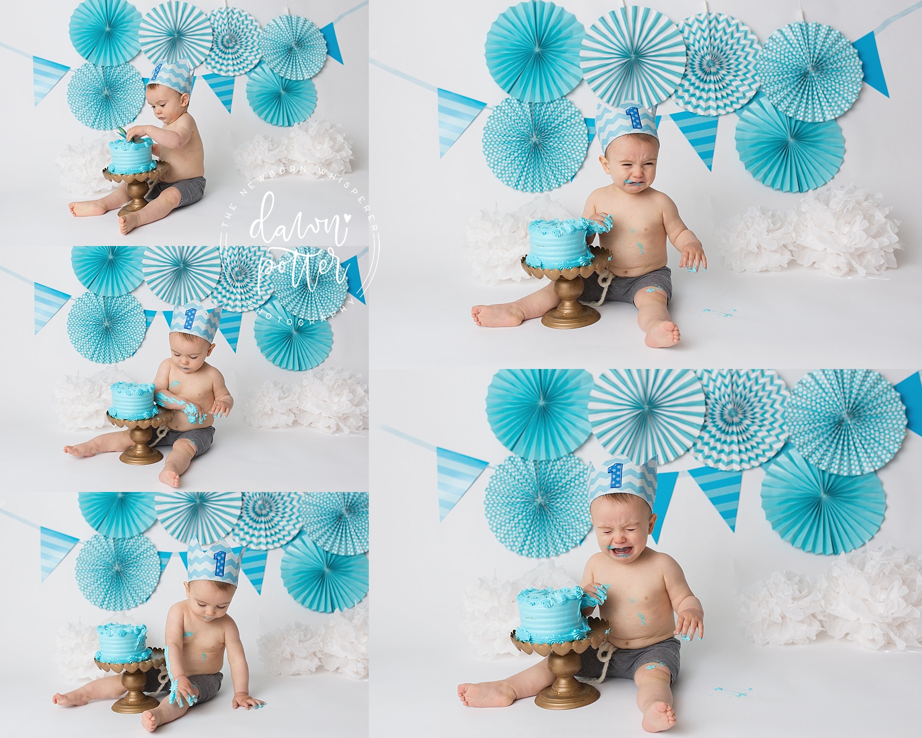 Seattle baby photographer Seattle baby photographer