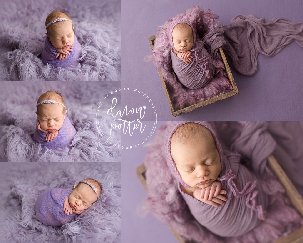 newborn photographer Seattle_0004.jpg newborn photographer Seattle_0004.jpg