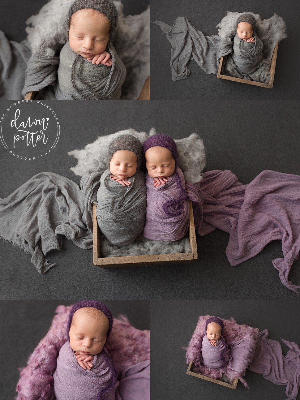 newborn photography Bellevue_0013.jpg newborn photography Bellevue_0013.jpg