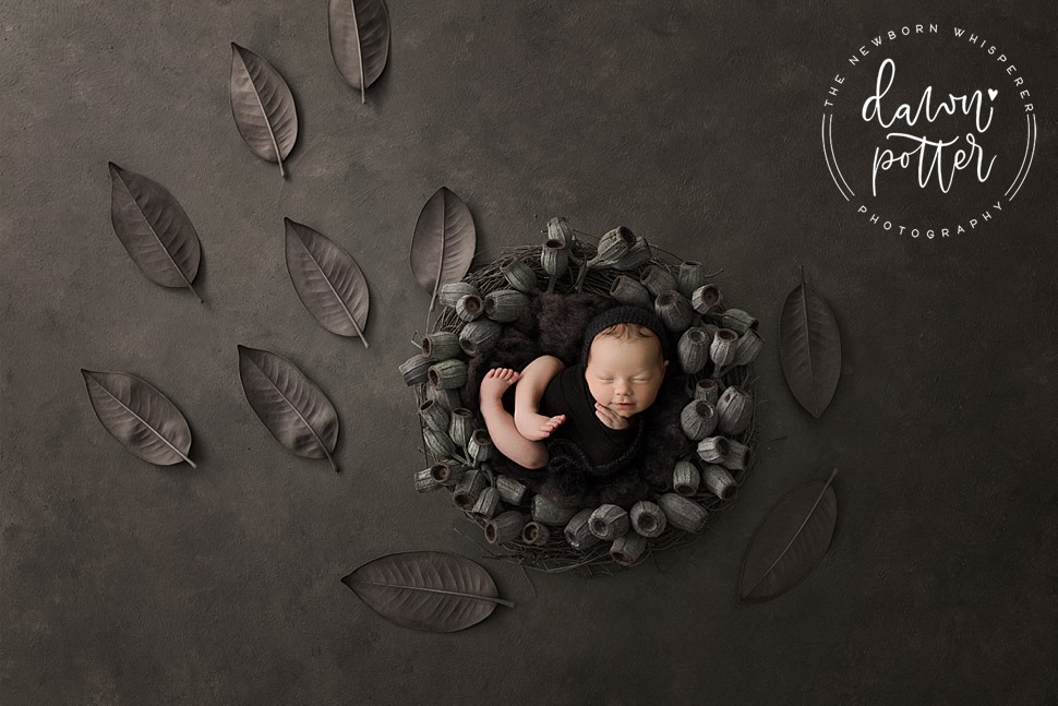 Best Newborn Photographer in Seattle_0015.jpg Best Newborn Photographer in Seattle_0015.jpg