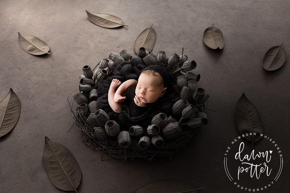 Best Newborn Photographer in Seattle_0016.jpg Best Newborn Photographer in Seattle_0016.jpg
