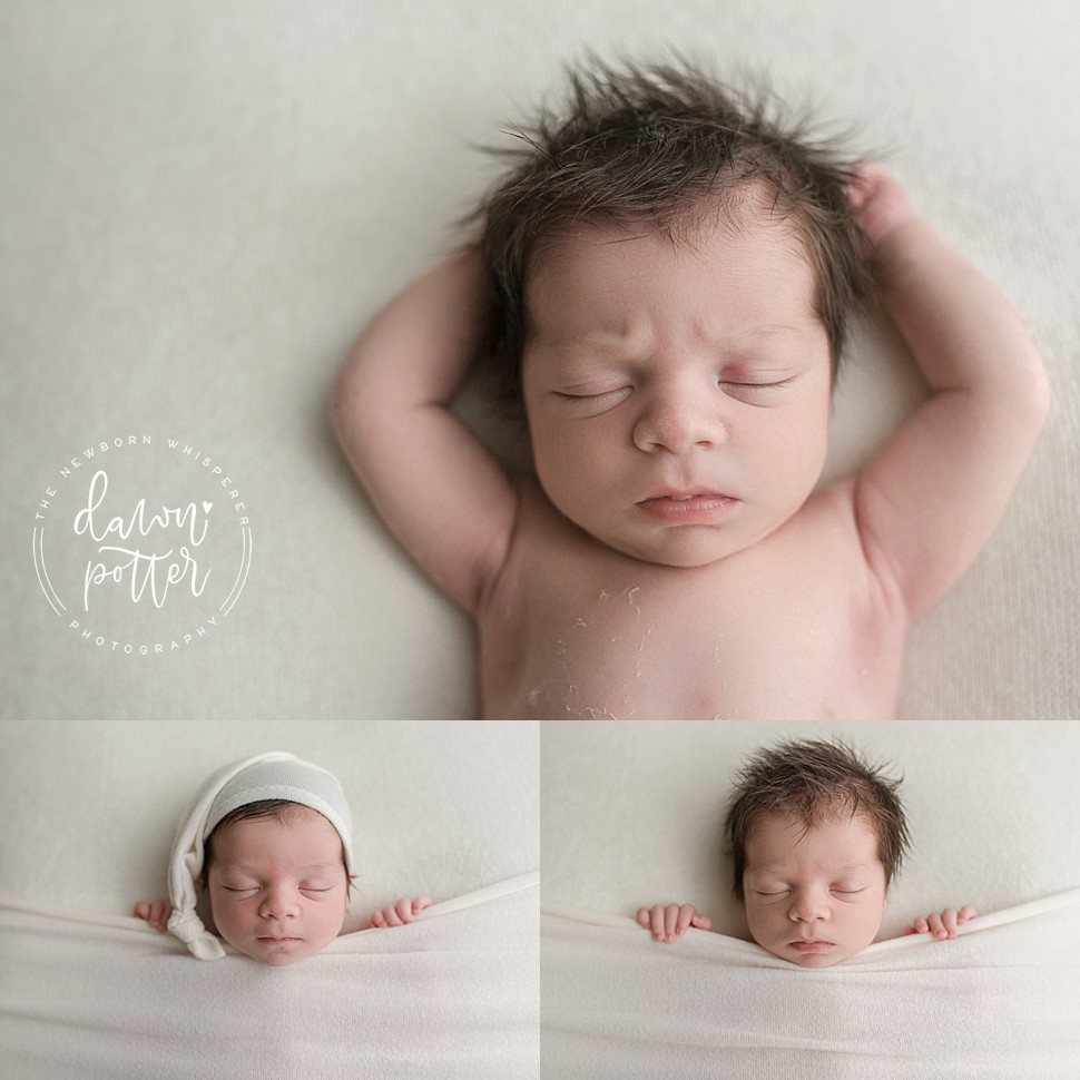 Newborn Photographer in Seattle_0014.jpg Newborn Photographer in Seattle_0014.jpg