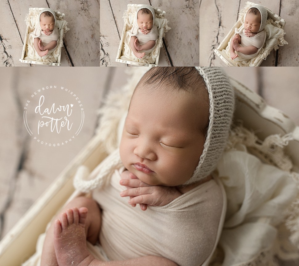 Newborn Photographer in Tacoma_0004.jpg Newborn Photographer in Tacoma_0004.jpg