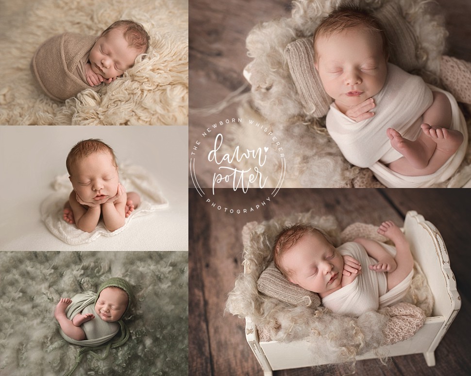 Newborn Photography Mentor_0015.jpg Newborn Photography Mentor_0015.jpg