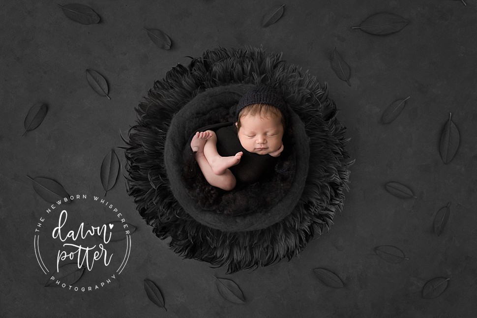 Seattle Newborn Photography_0021.jpg Seattle Newborn Photography_0021.jpg