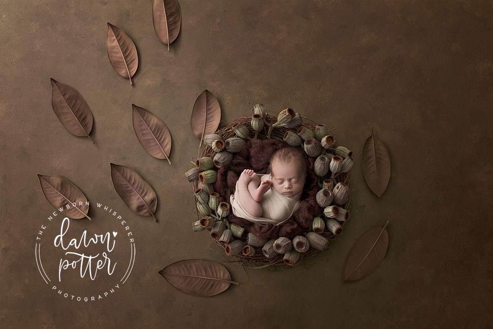 newborn photography Issaquah_0075.jpg newborn photography Issaquah_0075.jpg