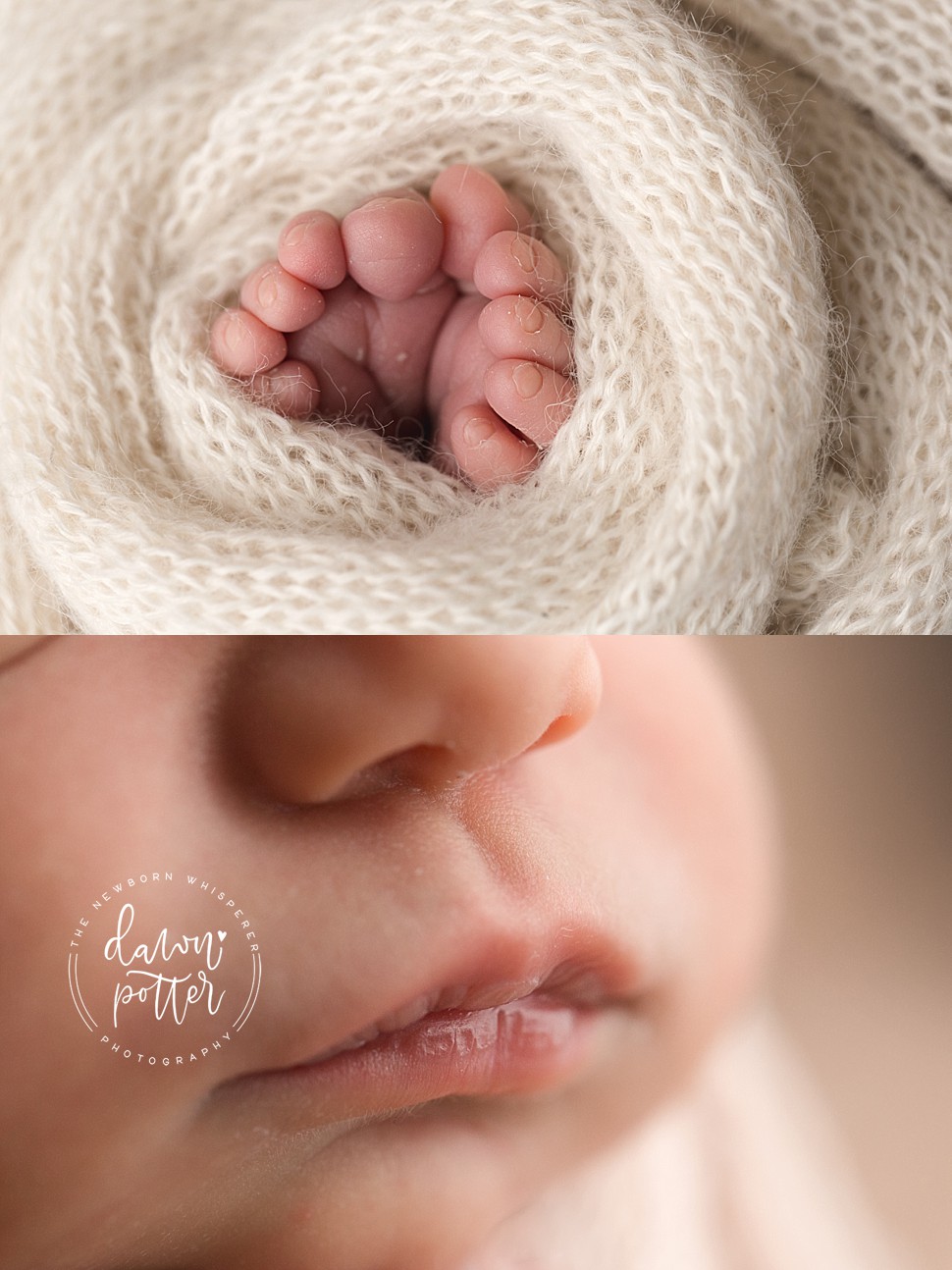 Tacoma Newborn Photographer_0137.jpg Tacoma Newborn Photographer_0137.jpg