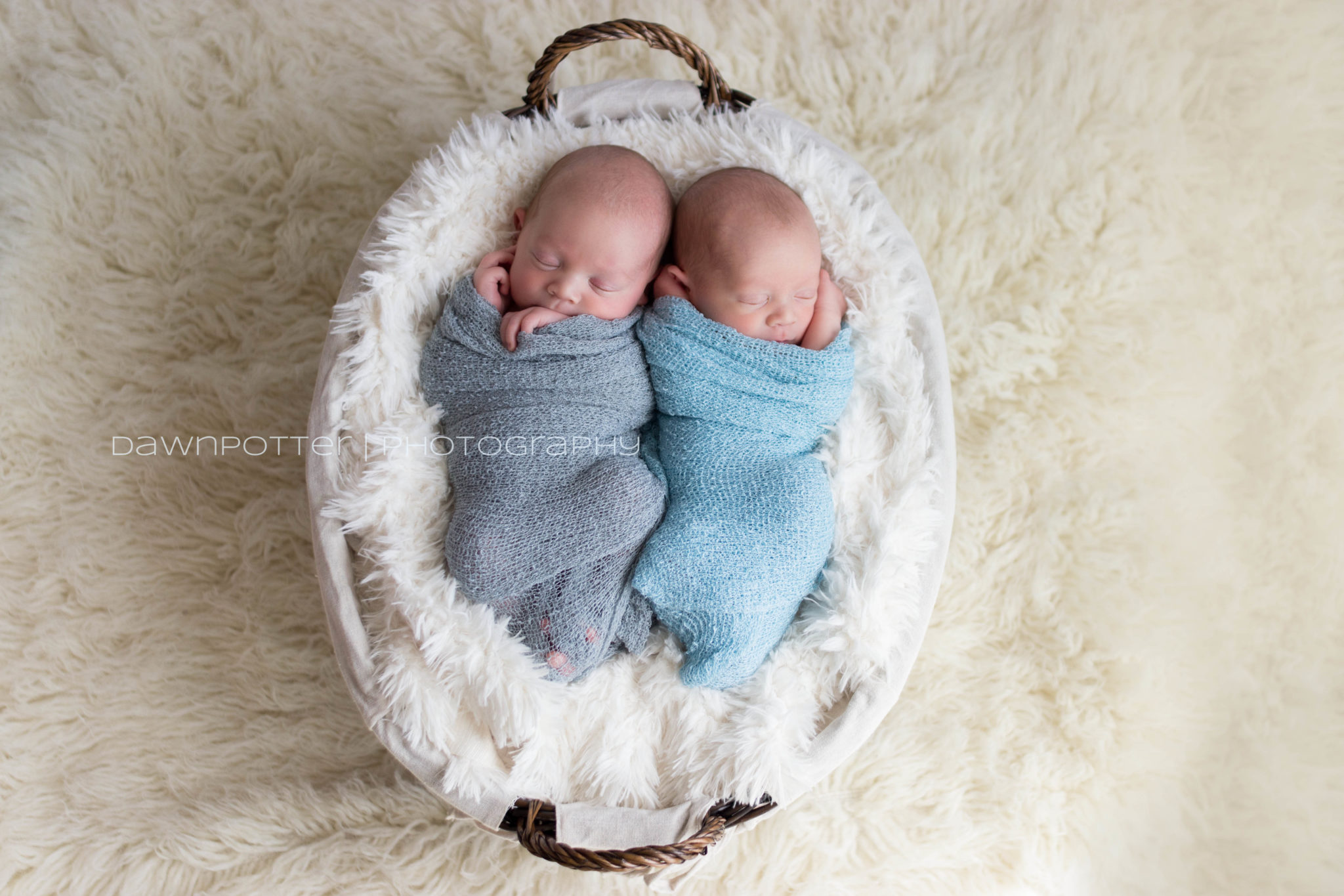 Maple Valley newborn photographer