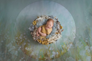 newborn photography seattle