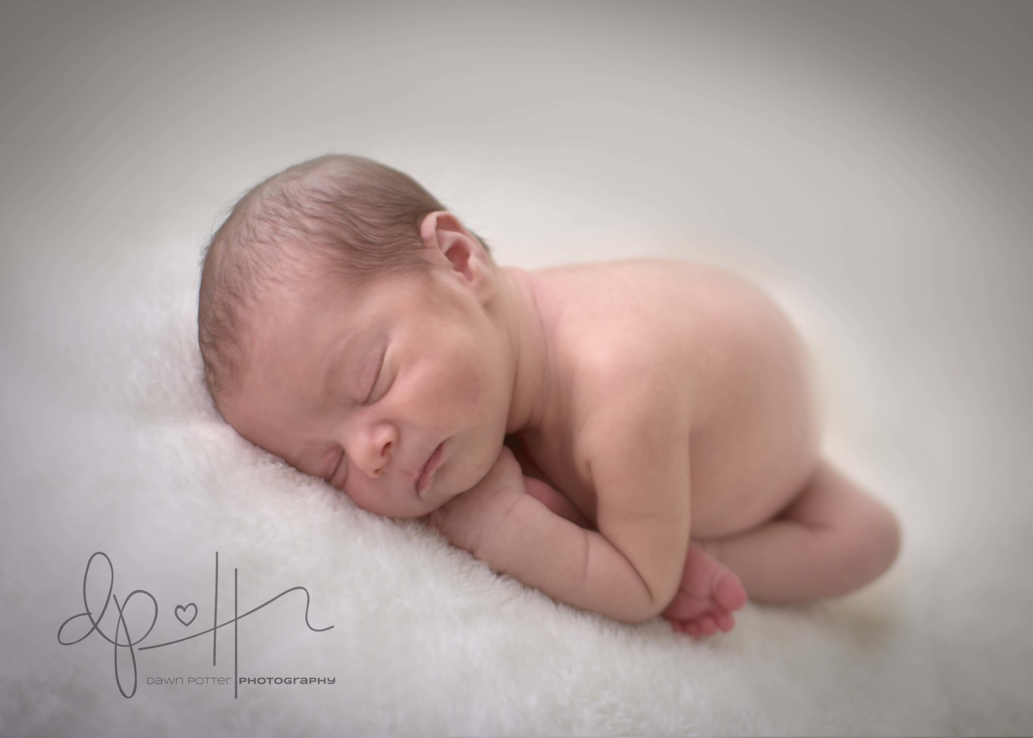 Seattle's Premier Newborn Photographer
