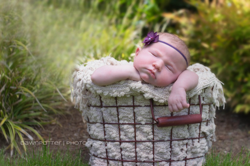 baby girl Aspen | 6 days {Maple Valley newborn photographer}