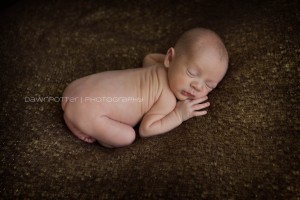 Maple Valley Newborn Photography