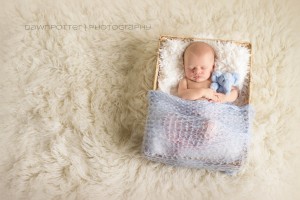 Maple Valley | Seattle Newborn Photographer
