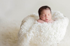 Seattle Area Newborn Photographer
