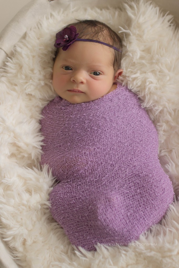 bright eyed | Seattle newborn photographer