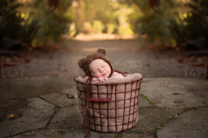 outdoor newborn mini session | Seattle newborn photographer