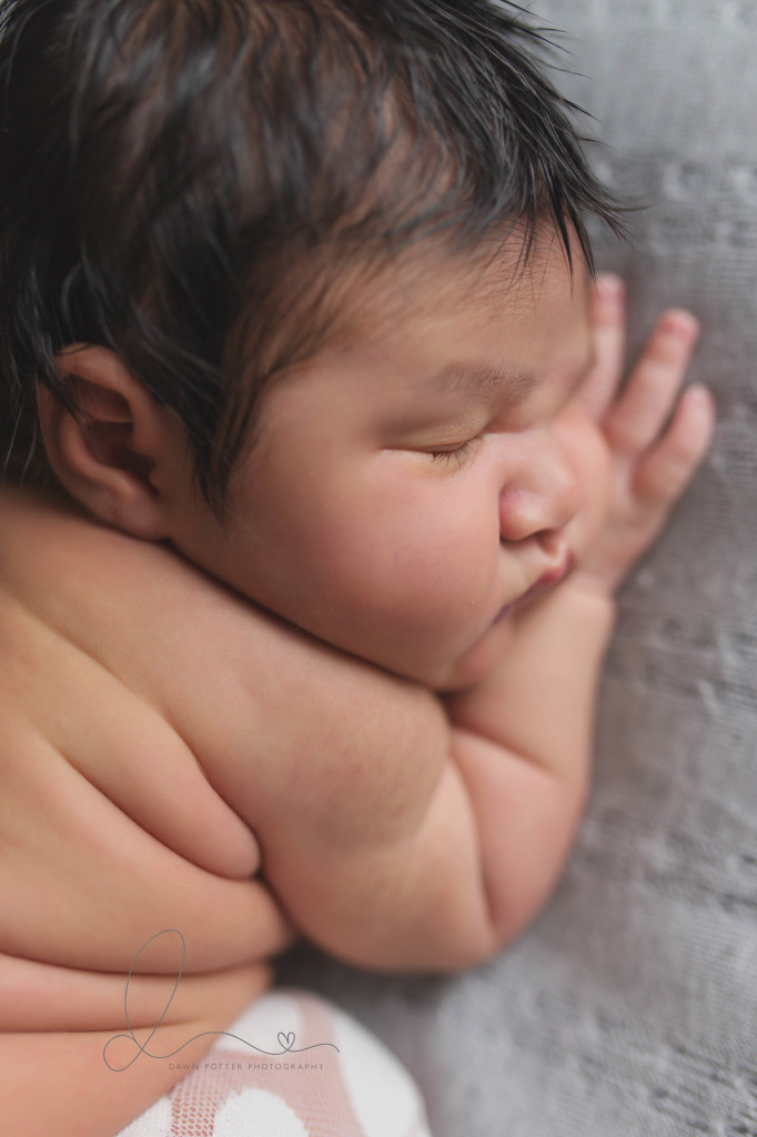 Seattle newborn photography