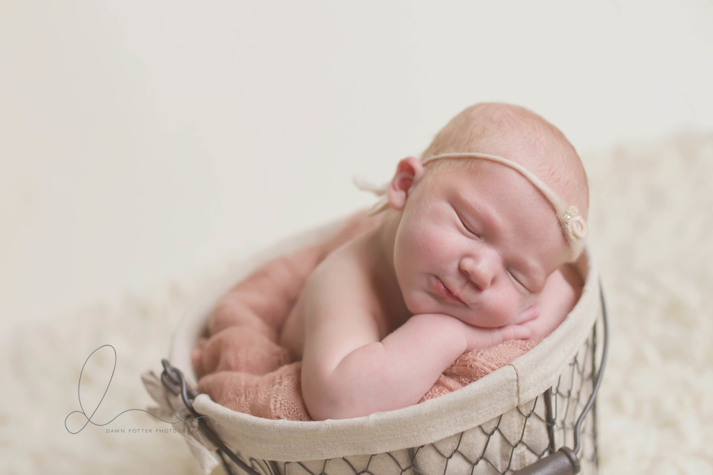 baby girl in basket | Seattle newborn photographer