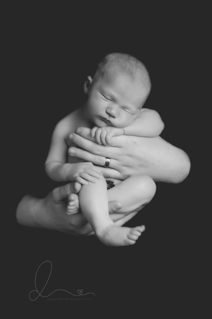 baby on black | Seattle newborn photographer