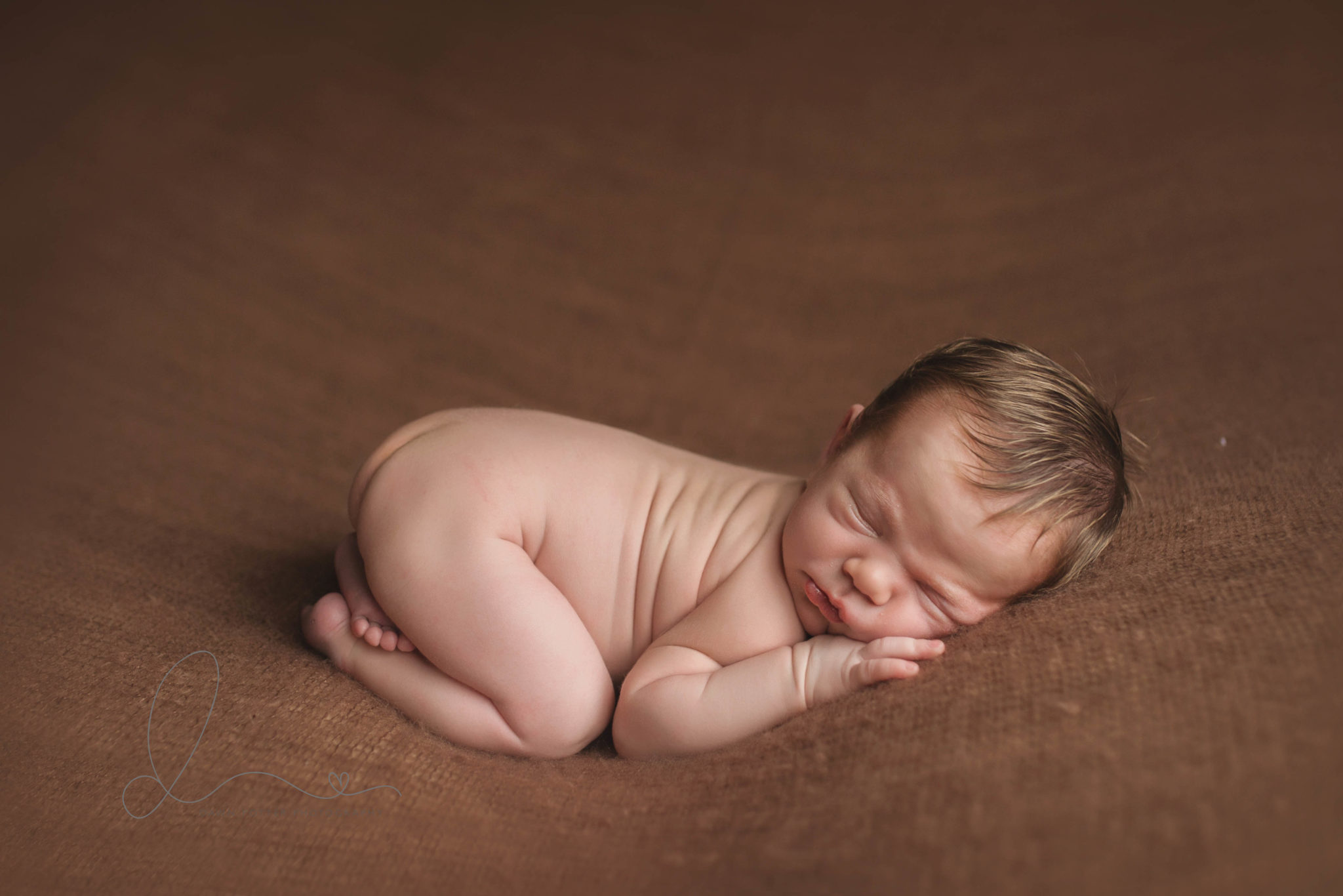 Seattle Seahawks Newborn Maple Valley Covington Newborn