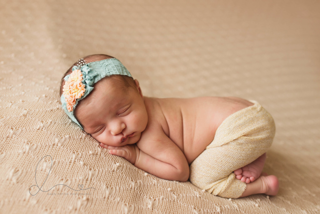 tushy pose | Issaquah-Hobart Newborn Baby Photographer | Maple Valley Newborn Photographer | Seattle Newborn Photographer-Seattle newborn photographer