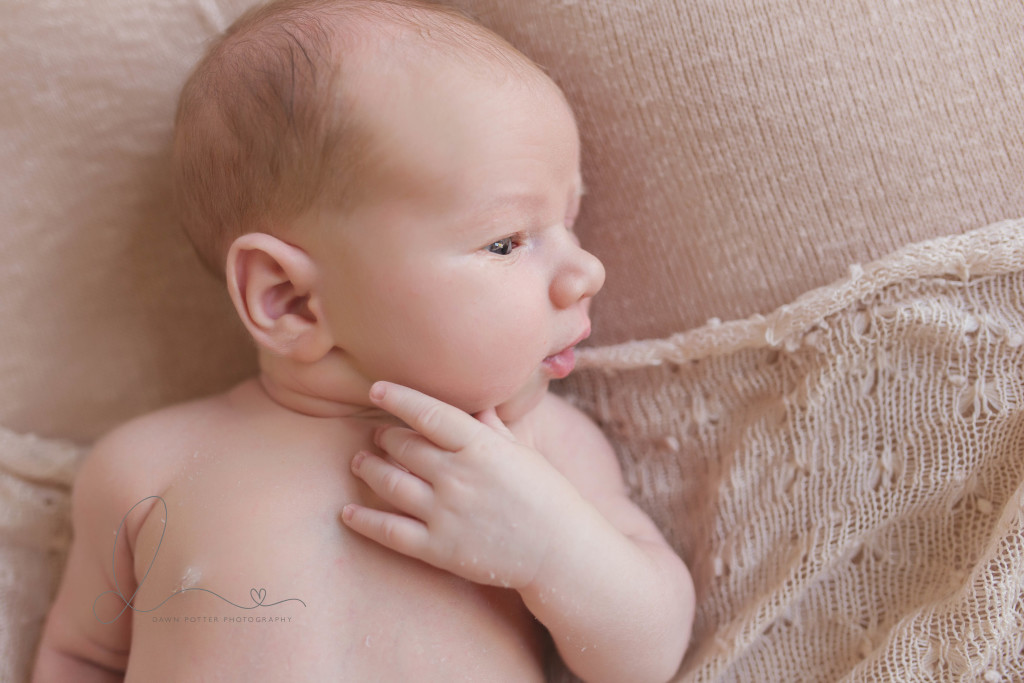 10 lb baby boy | Seattle Bellevue newborn baby photographer