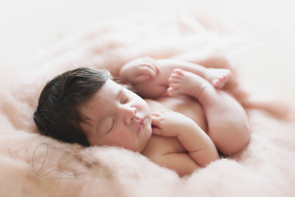 curly pose |  Bellevue-Issaquah newborn baby photographer