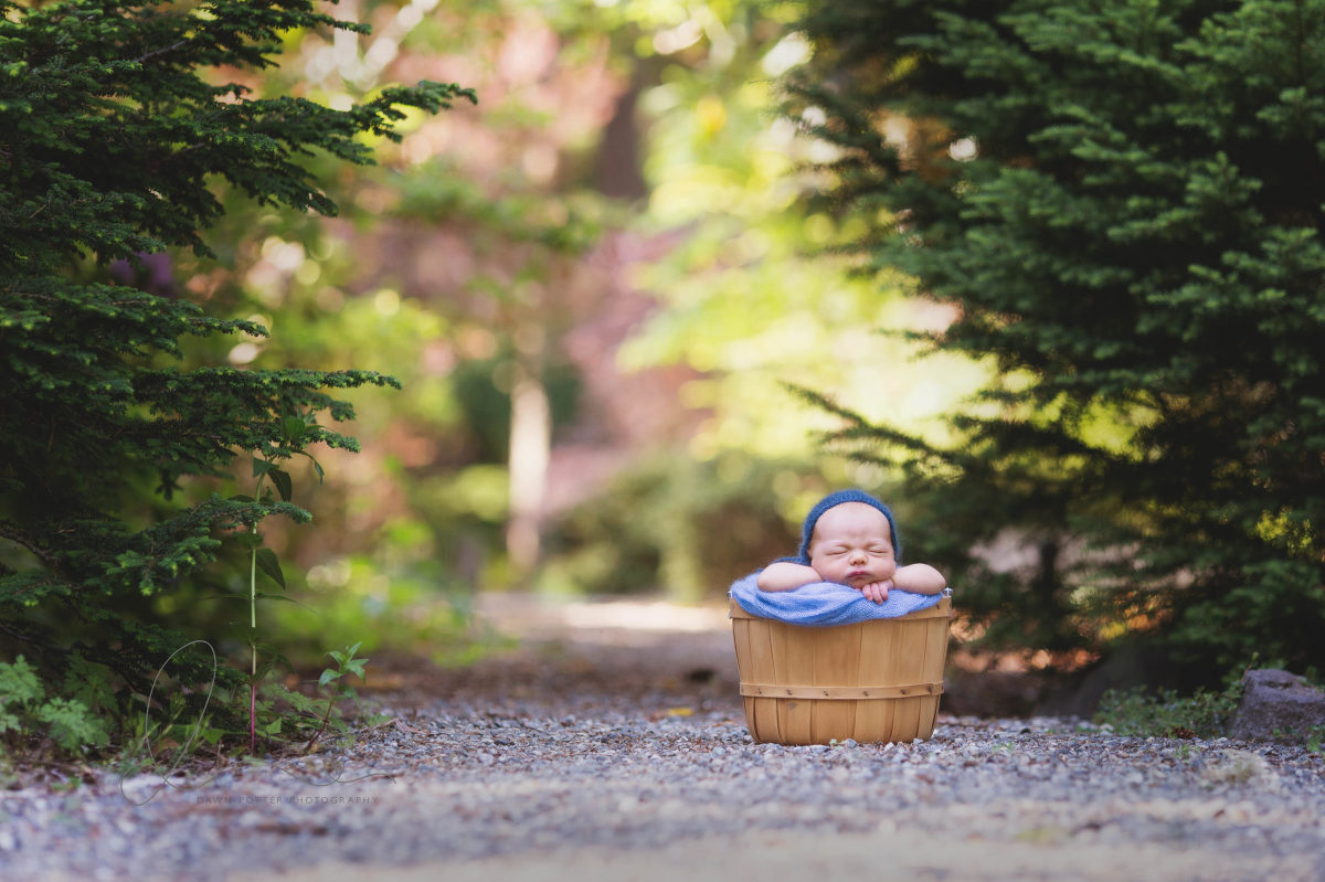 Outdoor Newborn Maple Valley Eastside Newborn Baby Photographer
