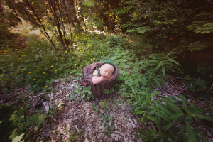 outdoor newborn | maple valley eastside newborn baby photographer