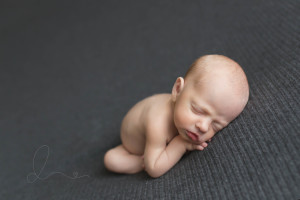 issaquah baby photographer | newborn twin boys