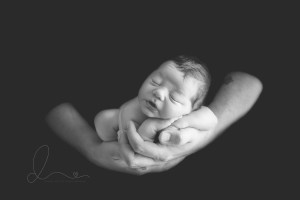 newborn baby boy in dad's hands