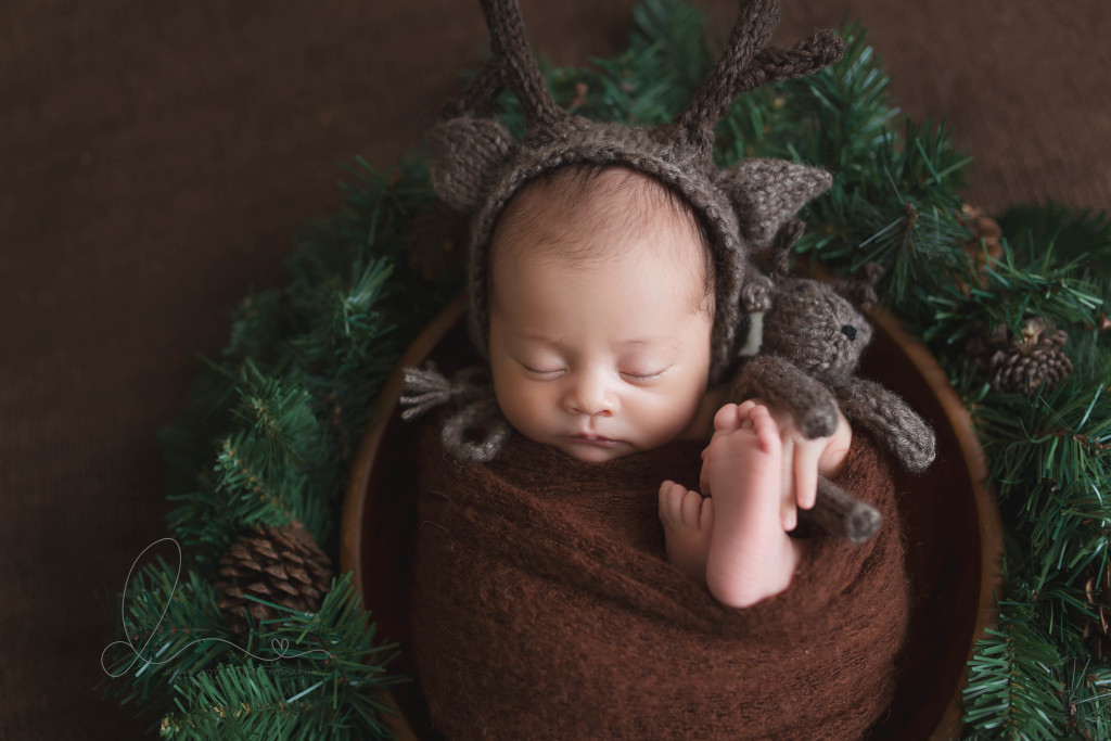 baby in bowl | baby in nest | three week old | bellevue newborn photographer