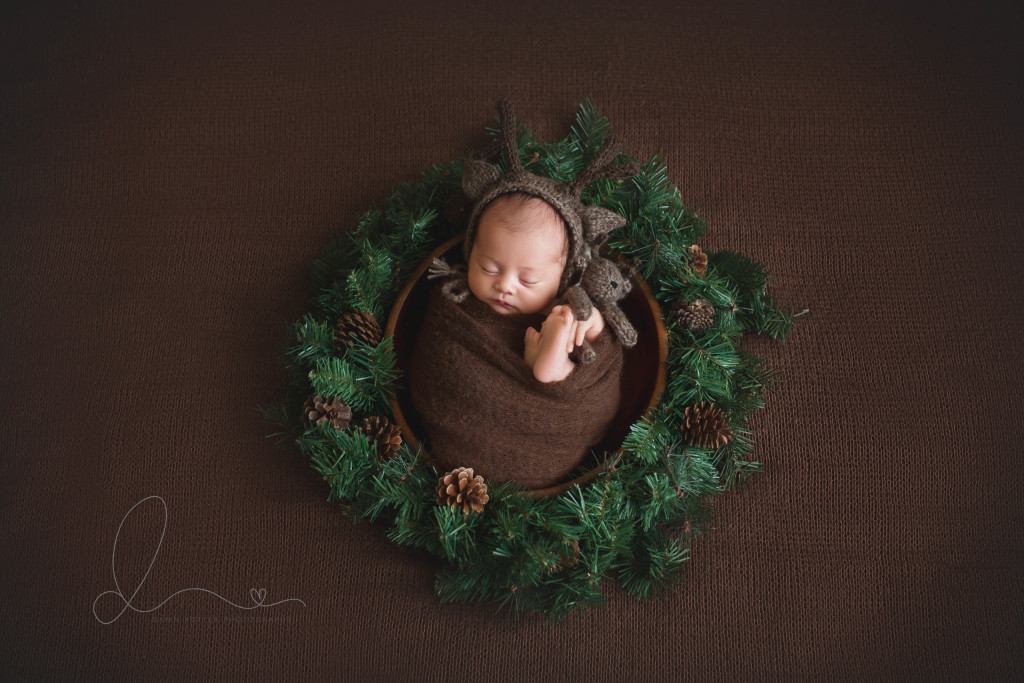 baby in bowl | baby in nest | three week old | bellevue newborn photographer