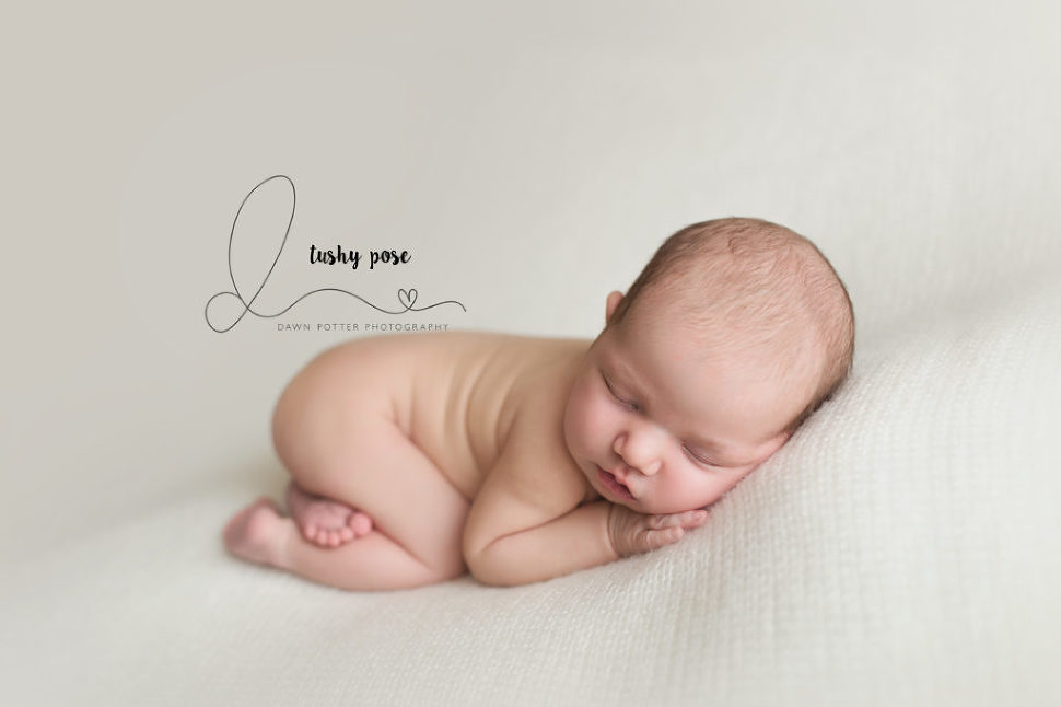 Newborn Photography Mentoring and Group Workshops » Dawn Potter Photography