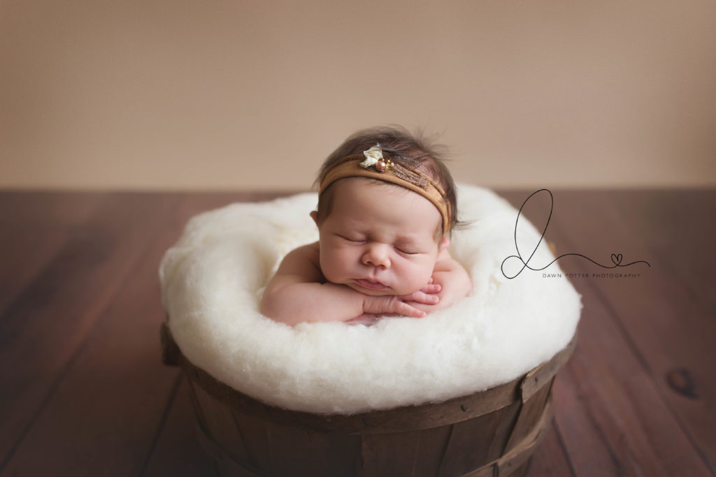 Issaquah Newborn Photographer Three week old baby Dawn Potter