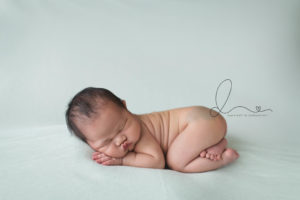 Bellevue newborn session | baby girl tushy pose