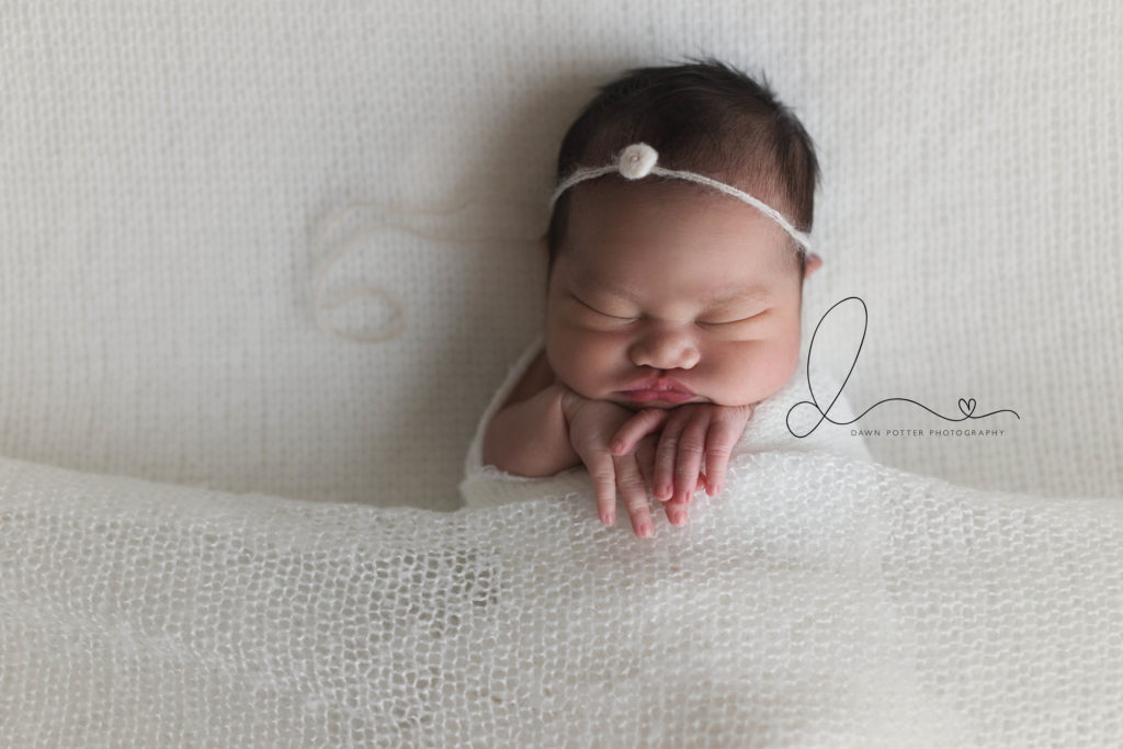Bellevue newborn session | baby girl tucked in | Eastside newborn session