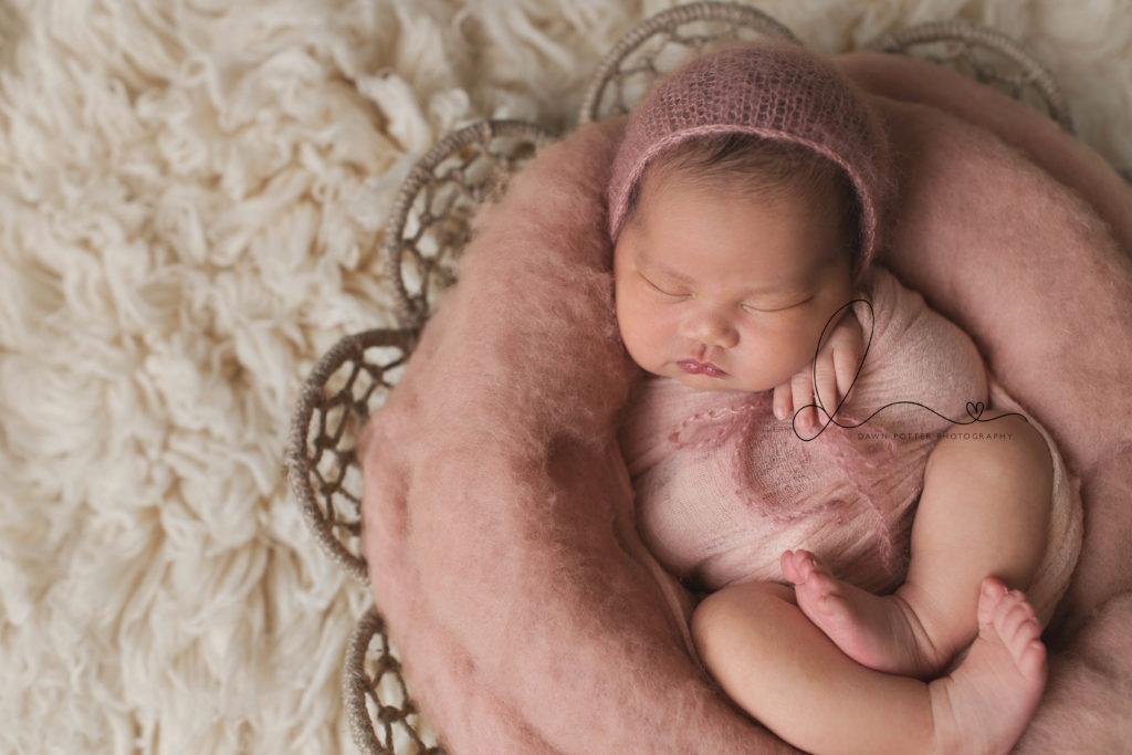 Bellevue newborn session | baby girl in basket | Eastside newborn session