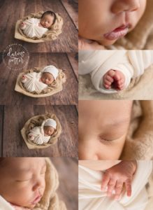 newborn photography tacoma wa