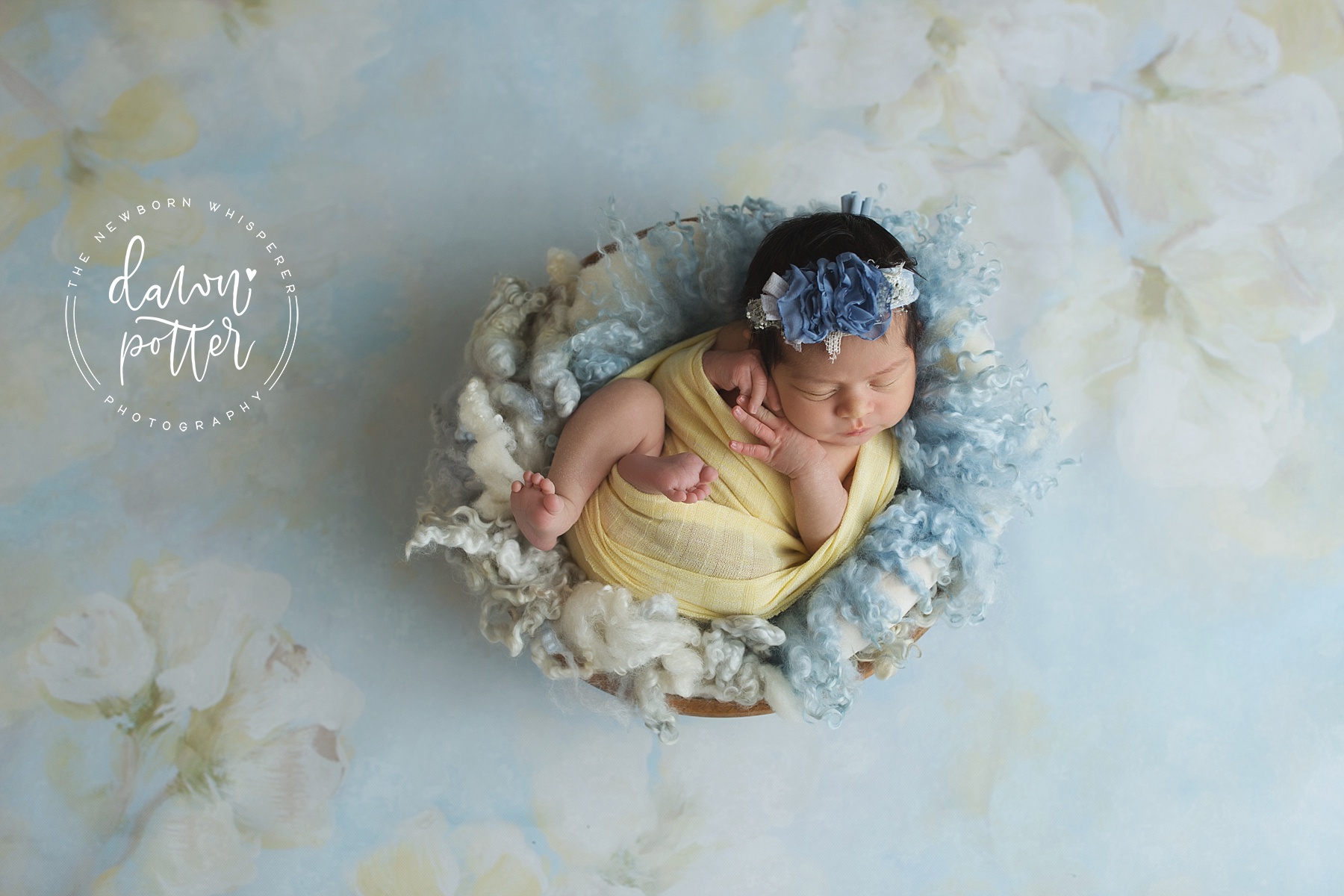Seattle baby photography | the newborn whisperer | newborn baby girl | Seattle newborn photographer